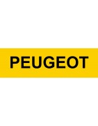 Kit centralisation Peugeot