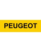 Kit centralisation Peugeot