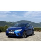 Kit Centralisation Seat Ibiza