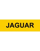 Kit centralisation Jaguar