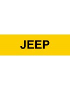 Kit centralisation Jeep