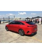 Kit Centralisation Kia Proceed