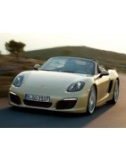 Kit Centralisation Porsche Boxster