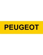 Clé vierge peugeot