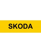 Clé vierge Skoda